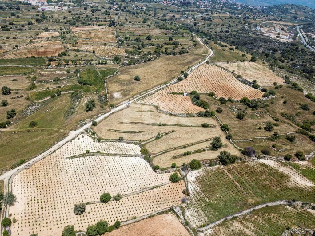 Land For Sale In Pachna Limassol Cyprus