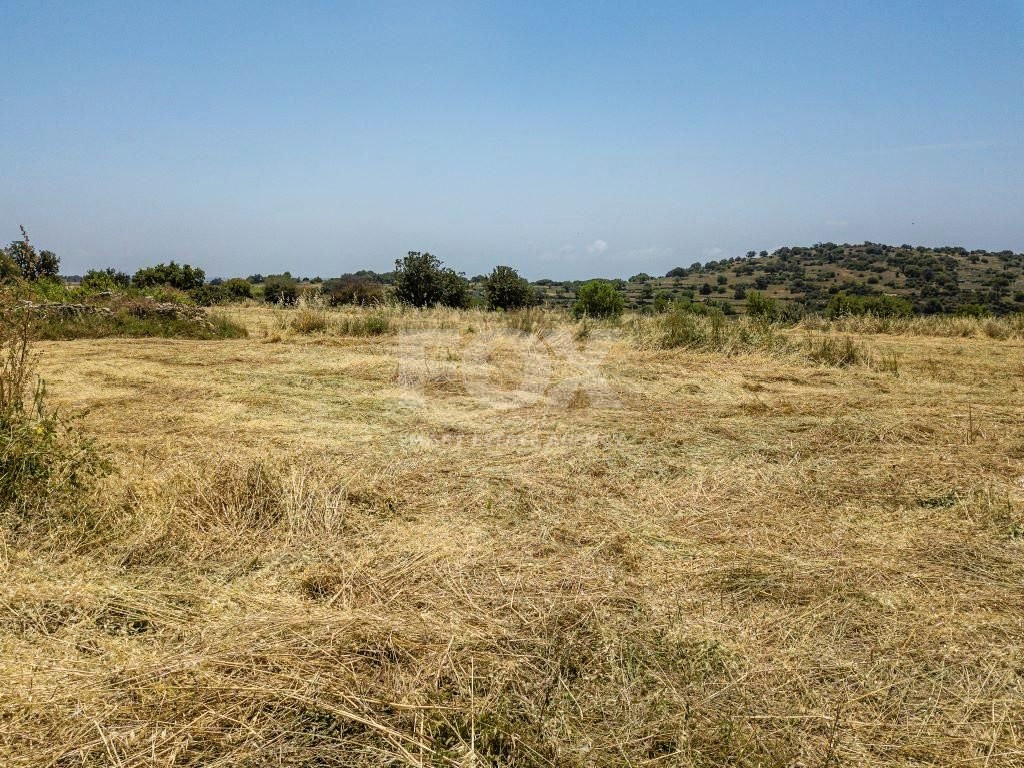 Land For Sale In Pachna Limassol Cyprus