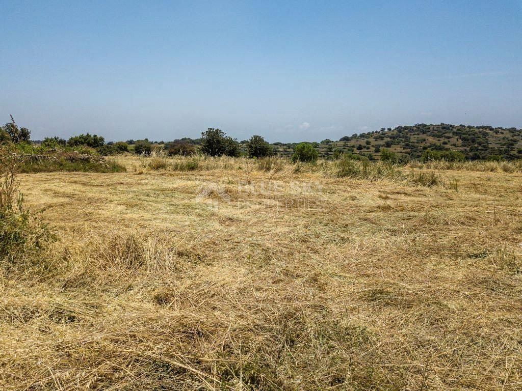 Land For Sale In Pachna Limassol Cyprus