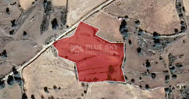 Land For Sale In Pachna Limassol Cyprus