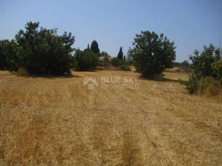 Land For Sale In Pegeia Paphos Cyprus