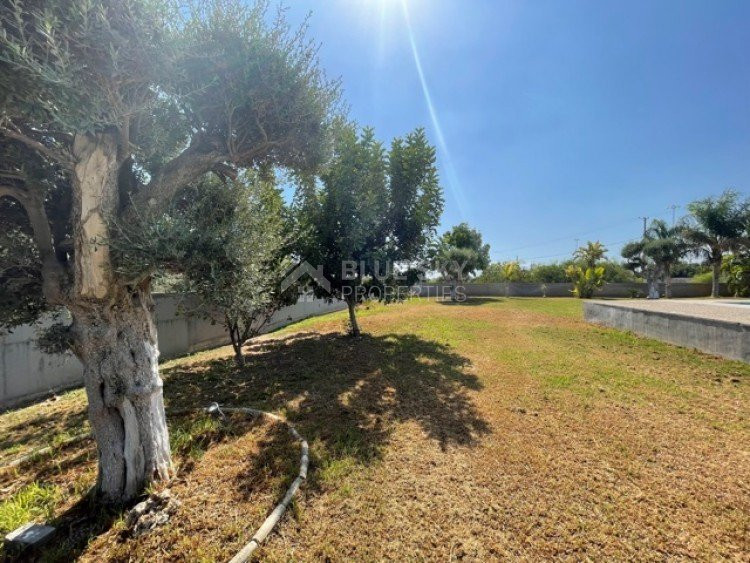 4 Bed House To Rent In Ypsonas Limassol Cyprus