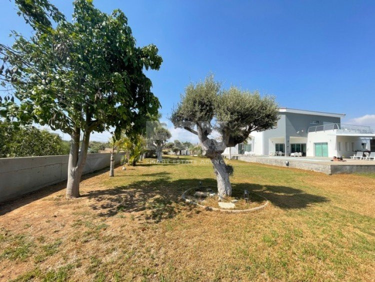 4 Bed House To Rent In Ypsonas Limassol Cyprus