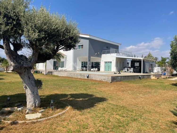 4 Bed House To Rent In Ypsonas Limassol Cyprus