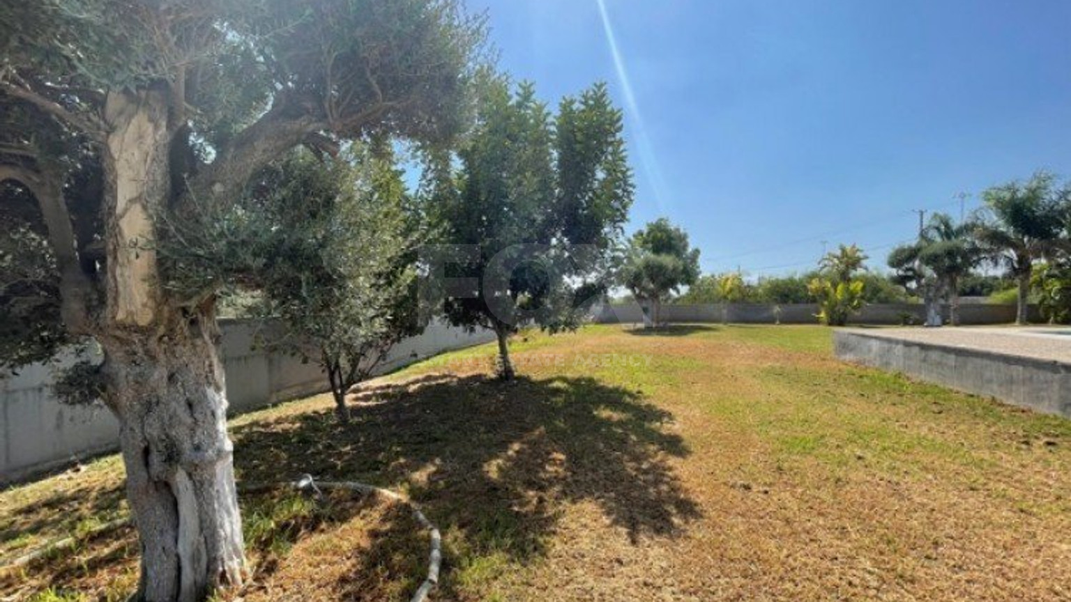 4 Bed House To Rent In Ypsonas Limassol Cyprus