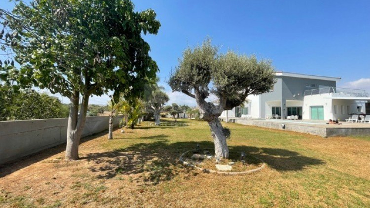 4 Bed House To Rent In Ypsonas Limassol Cyprus