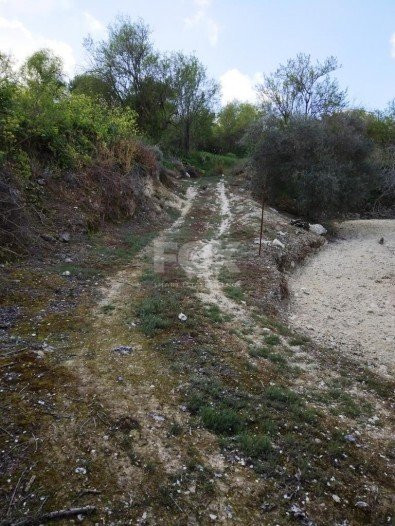 Land For Sale In Letymvou Paphos Cyprus