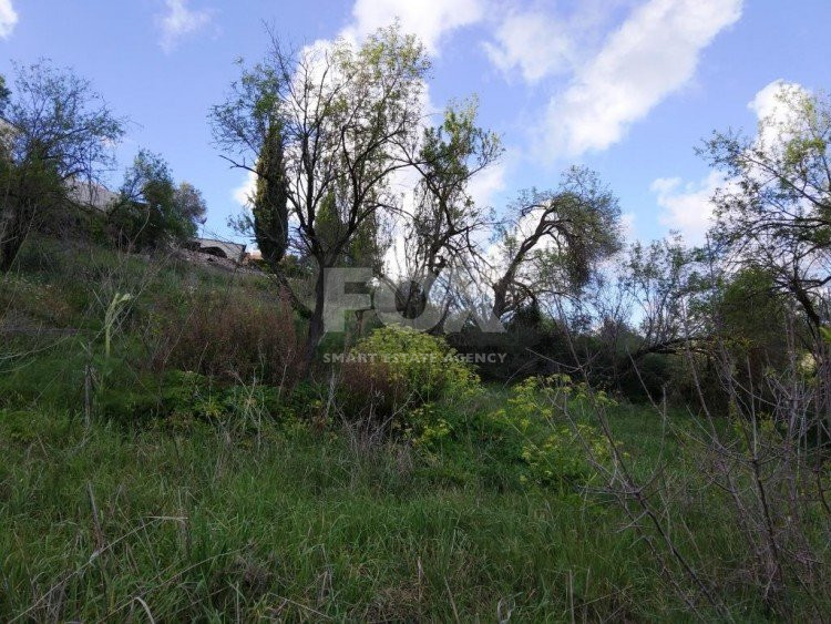 Land For Sale In Letymvou Paphos Cyprus