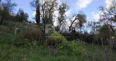 Land For Sale In Letymvou Paphos Cyprus