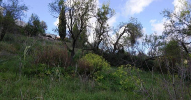 Land For Sale In Letymvou Paphos Cyprus