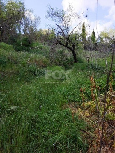 Land For Sale In Letymvou Paphos Cyprus