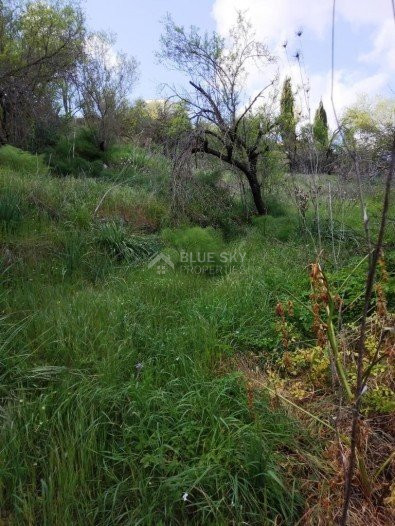 Land For Sale In Letymvou Paphos Cyprus