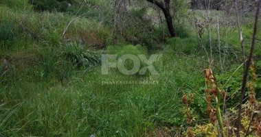 Land For Sale In Letymvou Paphos Cyprus
