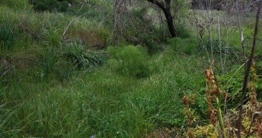 Land For Sale In Letymvou Paphos Cyprus