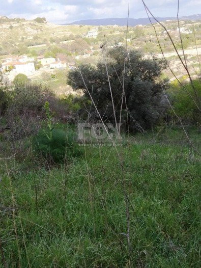 Land For Sale In Letymvou Paphos Cyprus