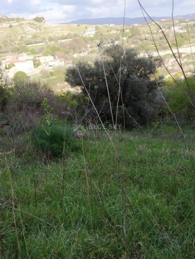 Land For Sale In Letymvou Paphos Cyprus