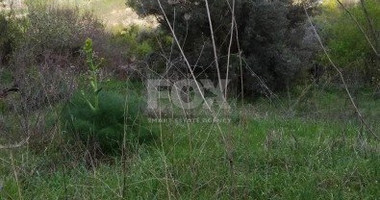 Land For Sale In Letymvou Paphos Cyprus