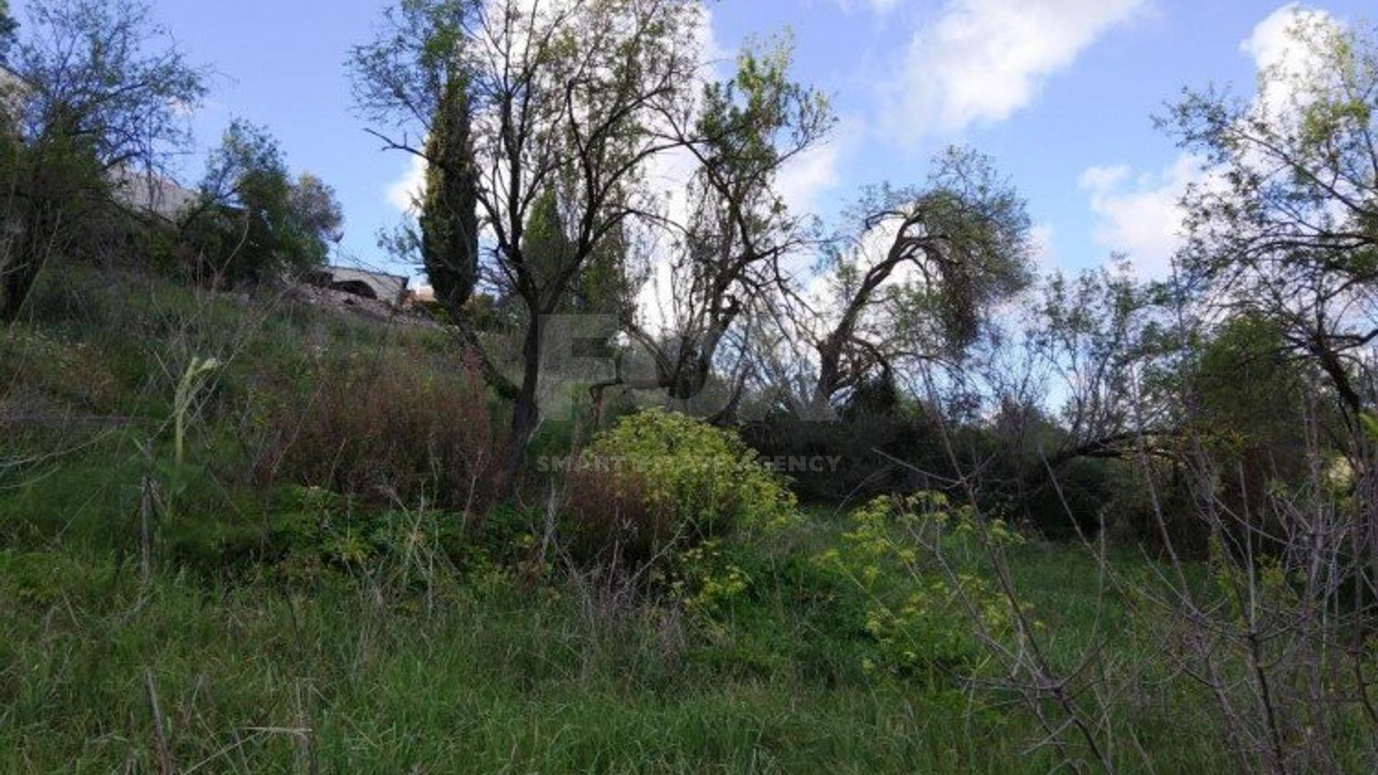 Land For Sale In Letymvou Paphos Cyprus