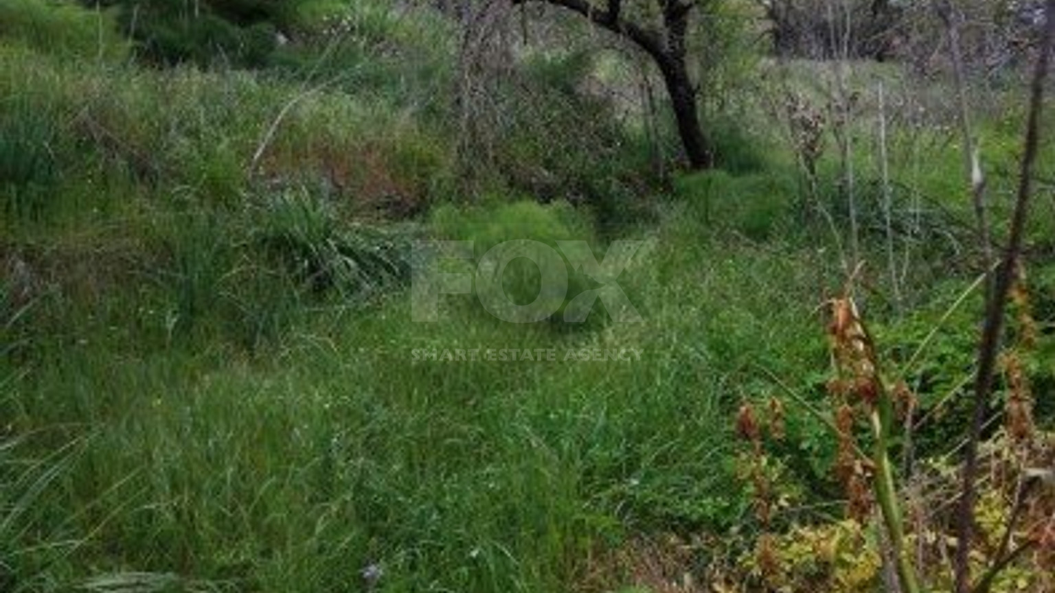 Land For Sale In Letymvou Paphos Cyprus