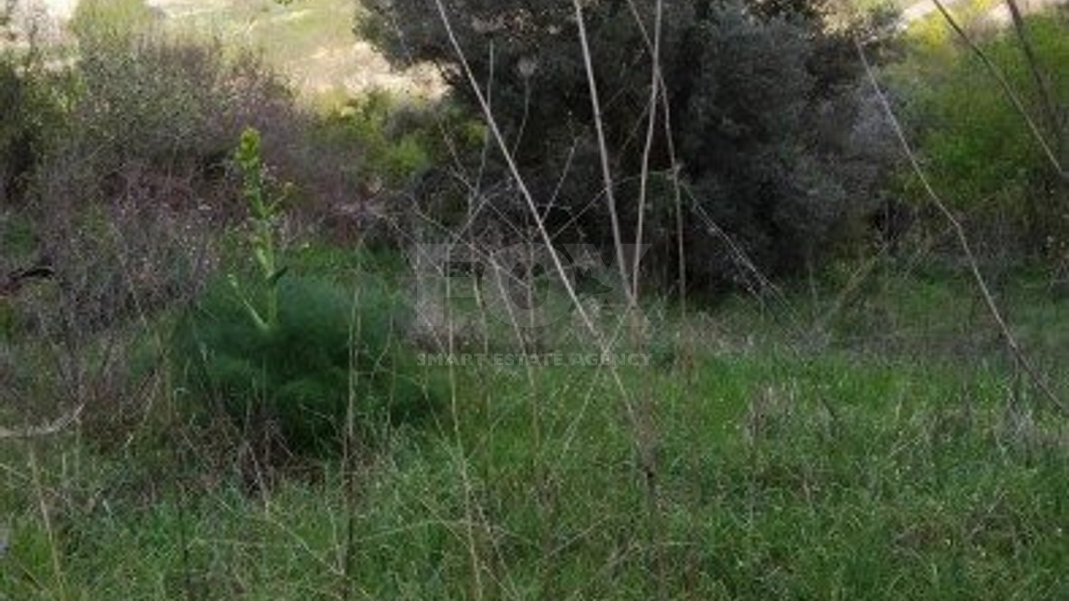 Land For Sale In Letymvou Paphos Cyprus