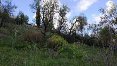 Land For Sale In Letymvou Paphos Cyprus
