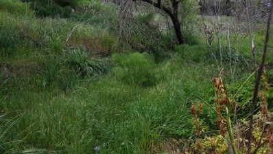 Land For Sale In Letymvou Paphos Cyprus