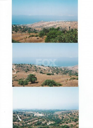 Land For Sale In Tala Paphos Cyprus