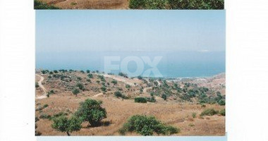 Land For Sale In Tala Paphos Cyprus