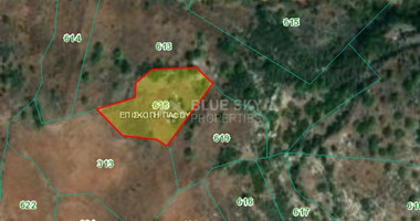 Land For Sale In Episcopi Paphos Cyprus