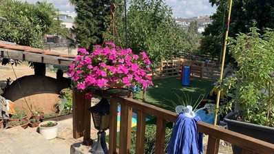 Building For Sale In Agia Fylaxis Limassol Cyprus