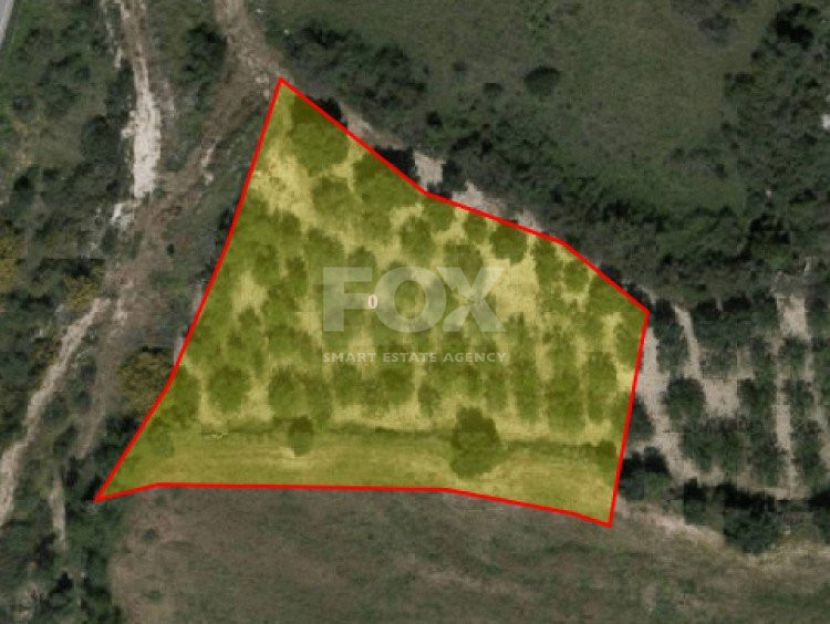 Land For Sale In Drouseia Paphos Cyprus