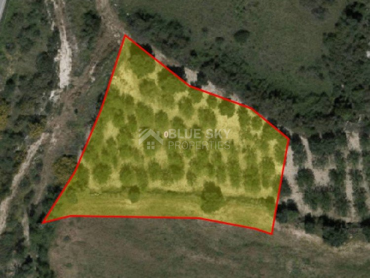 Land For Sale In Drouseia Paphos Cyprus