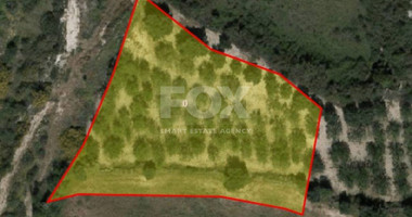 Land For Sale In Drouseia Paphos Cyprus