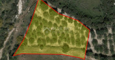 Land For Sale In Drouseia Paphos Cyprus