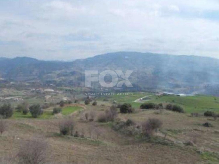 Land For Sale In Agios Dimitrianos Paphos Cyprus