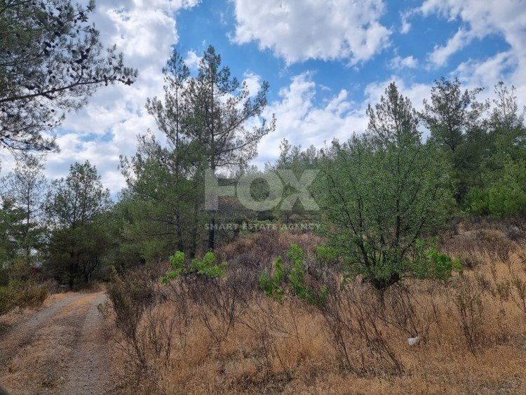 Land For Sale In Pano Platres Limassol Cyprus