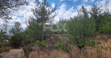 Land For Sale In Pano Platres Limassol Cyprus