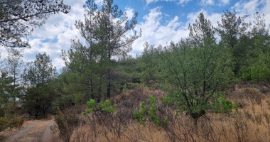 Land For Sale In Pano Platres Limassol Cyprus