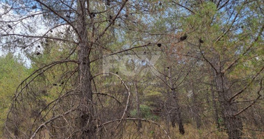 Land For Sale In Pano Platres Limassol Cyprus