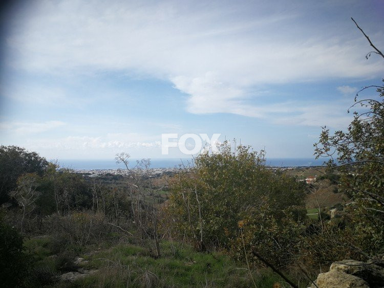 Plot of land for sale 5515 m² in Armou, Paphos, Cyprus