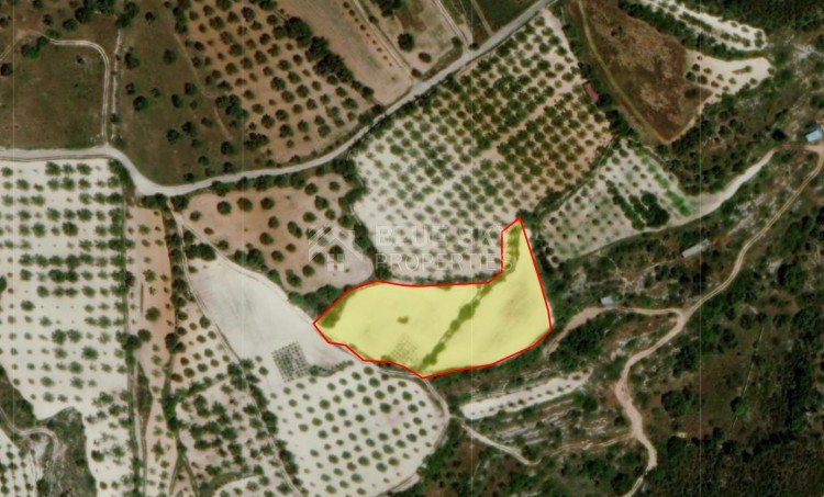 Land For Sale In Mesa Chorio Paphos Cyprus