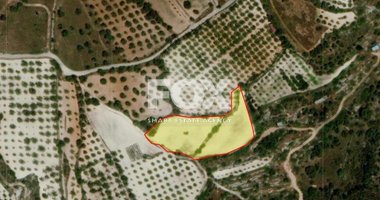 Land For Sale In Mesa Chorio Paphos Cyprus
