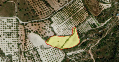 Land For Sale In Mesa Chorio Paphos Cyprus