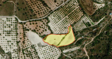 Land For Sale In Mesa Chorio Paphos Cyprus