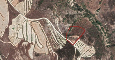 Land For Sale In Tsada Paphos Cyprus