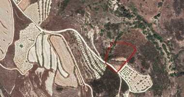 Land For Sale In Tsada Paphos Cyprus