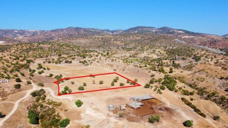 Residential field in Pegeia, Paphos