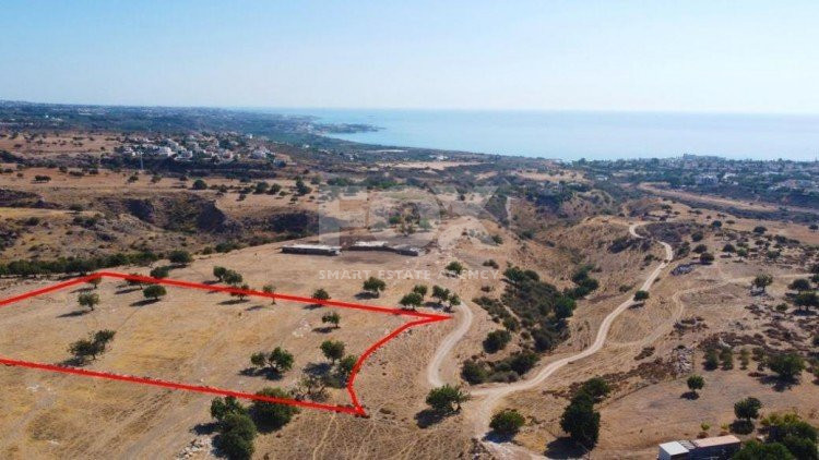 Residential field in Pegeia, Paphos