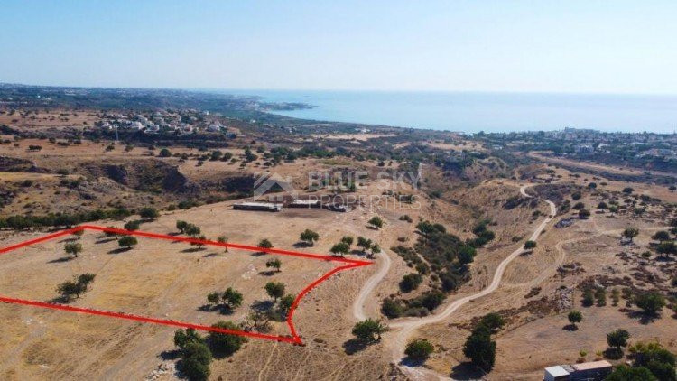 Residential field in Pegeia, Paphos