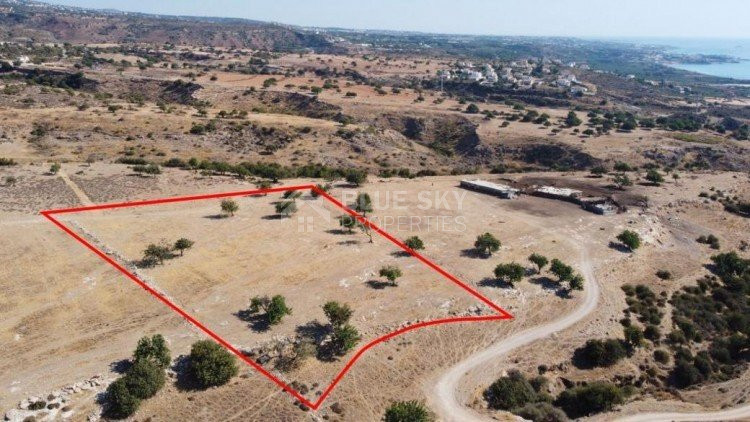 Residential field in Pegeia, Paphos